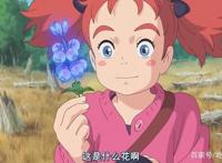 动漫《玛丽与魔女之花》你读懂了什么？