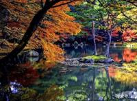 去日本旅行？这些地方不容错过