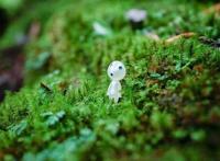 火了！这座小岛，宫崎骏、田馥甄、阮经天都去过！