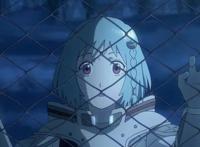 一个颠倒的世界，你会好奇它是什么样的吗？