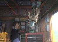 世界重力颠倒？人类坠入天空？牛顿已哭晕