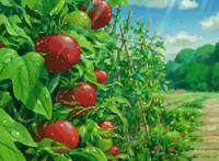 宫崎骏：宫崎骏动画里的夏天，才是夏天该有的样子