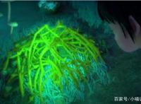 熊出没里几个让人不解的画面，网友：导演你当我们是三岁小孩吗？