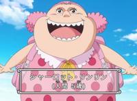 海贼王836：传说中的一拳打死熊来自5岁小女孩，修女曾经是大美女