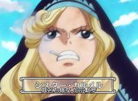 海贼王836：传说中的一拳打死熊来自5岁小女孩，修女曾经是大美女