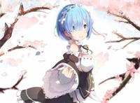 日本人最爱动漫女仆TOP10，蕾姆第一，谁第二？