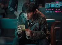 《动物世界》里面的生死世界，离我们到底有多远？