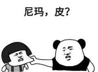 《动物世界》里面的生死世界，离我们到底有多远？