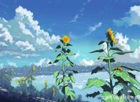 动漫迷对日本的普遍错误印象，你知道吗