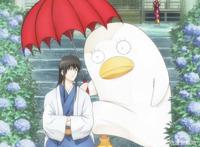 《银魂》这部作品里面有着人生百态，看着它你会捧腹大笑泪流满面