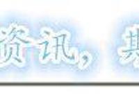 龙珠英雄：7月1日正式播出，故事发生在未来，超蓝贝吉特登场！