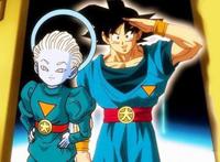 超龙珠英雄：全新的种族出现，女法师拥有封印大神官的力量