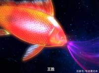 《元龙》第七话：小鲤鱼吞噬千幻毒蚺，第一次感觉反派有点惨！