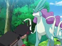 宝可梦旅途53话：无语，神兽水君居然主动跟随小豪，放生不了！