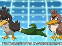 宝可梦旅途：小智这一季的精灵阵容，还会是六只吗？