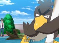 宝可梦旅途第60话：来了，葱游兵高光时刻，小智打败劲敌凛斗！