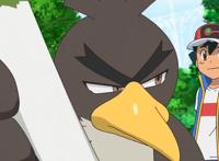 宝可梦旅途51话：完爆，大葱鸭被教育！凛斗将成为小智最强劲敌？