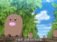 宝可梦旅途第56话：小智上门踢馆！钢天王竟沦为大葱鸭陪练对象？