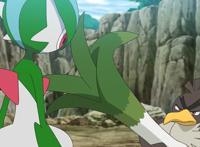 宝可梦旅途第56话：小智上门踢馆！钢天王竟沦为大葱鸭陪练对象？