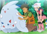 宝可梦旅途：没问题！小光回归，与小智重逢，短暂却激动