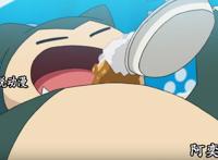 宝可梦旅途第47集：大胃王比赛，小豪主场，莫鲁贝可成最大黑马！