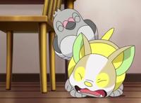 看《宝可梦：旅途》第29-32集标题，你是否还有继续追番的欲望？