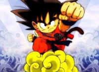 龙珠：这部动漫里武道家的精神就是越过深涧，打破极限！