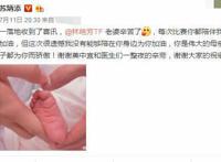 儿子才出生就定制玩具高达，苏炳添乃日本动漫迷，最爱是小悟空