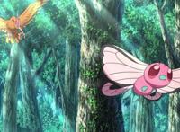 《宝可梦》：宝可梦大师与宝可梦必定经历的缩影——离别！