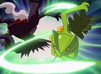 宝可梦旅途：官方制作人透露敲音猴不简单，看来小智收服有望？