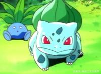 精灵宝可梦：小智收服御三家，除了真情，还有火箭队的神助攻