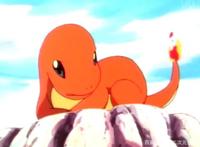 精灵宝可梦：小智收服御三家，除了真情，还有火箭队的神助攻