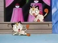 精灵宝可梦：会说人话的宝可梦可不止喵喵和鬼斯，你还知道哪些？