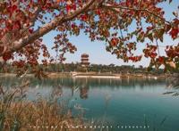 中秋别宅在家！郑州这些演出活动都超精彩，赶紧约起来