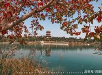 中秋别宅在家！郑州这些演出活动都超精彩，赶紧约起来！