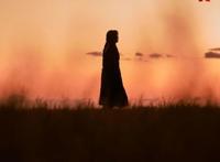 Netflix7月追剧清单，全智贤带着《王国：北方的阿信》回归了！