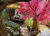 剧本杀企业上万家，8位店主讲述：父母给孩子订桌叮嘱不要黄赌毒，有玩家为相亲来打本