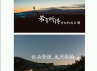 《人间失格》“生而为人，我很抱歉”，只因软弱的灵魂和恐惧的心