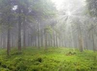 从恐怖动漫电影《阿修罗》，看精神上的伤害远大于其它