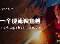 N.Fans：元宇宙成长最快的NFT聚合平台，下一个顶流独角兽