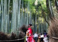 八犬最近作品合集，长发造型帅出新高度，果然这么帅气是小姐姐