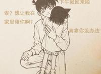 如果变小的是小兰，《名侦探柯南》将是新一和他的小女友的日常！