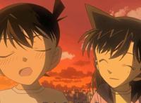 名侦探柯南：新兰VS柯哀，哪个党派才是你真正心之所向往？