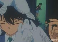 《名侦探柯南》剧场版：你最喜欢的是哪一部？（上）