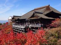 《名侦探柯南迷宫的十字路口》：传统的京都美景，配最甜的平和