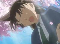 名侦探柯南：同样是“下跪”，柯南太搞笑，青子却开车了！