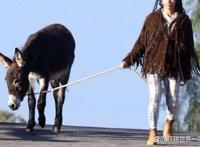 蝙蝠侠：漫长的万圣节(下)黑暗背景下的义警