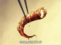 聊聊《食戟之灵》豆瓣评分8.1的美食类动漫目前动画己经到第四季了