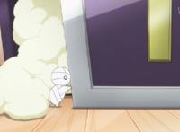 治愈系的小可爱，爱哭却很努力，萌化老夫的少女心！