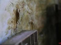 成都女孩还原微缩版《千与千寻》水上列车三年成为18万粉丝的up主